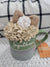 Pip Posh Design Faux Sweet Décor "Together" Mug & Ivory Burlap Whipped Topper Fall Collection