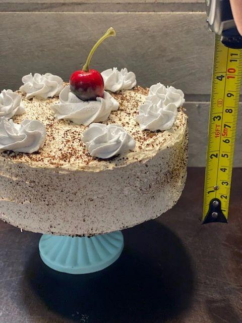 Pip Posh Design Faux Sweet Décor Whipped Cherry Coffee Cake Collection